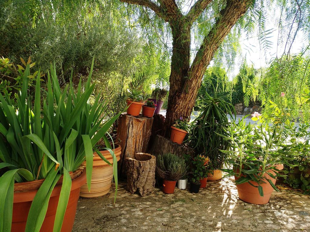 Casa Con Encanto En Alájar Εξωτερικό φωτογραφία