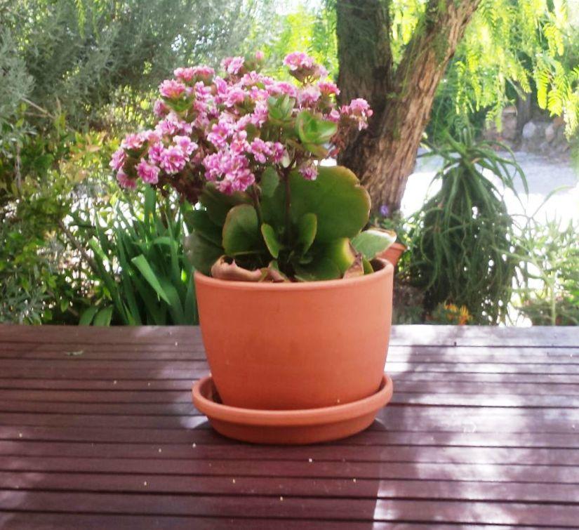 Casa Con Encanto En Alájar Εξωτερικό φωτογραφία